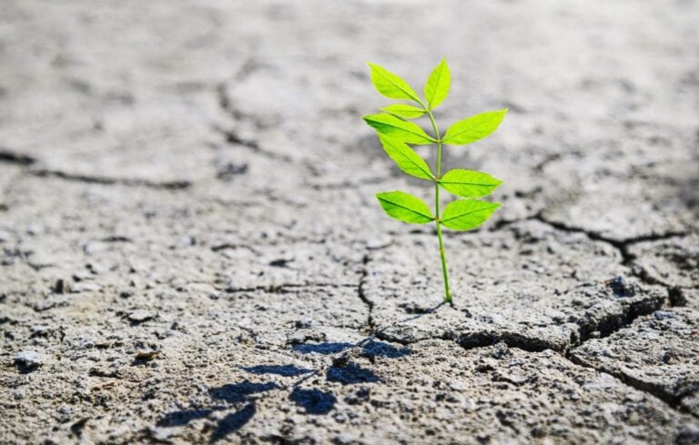 Be resilient.